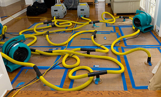 Professional Crawl Space Water Removal technician working in Williston, FL